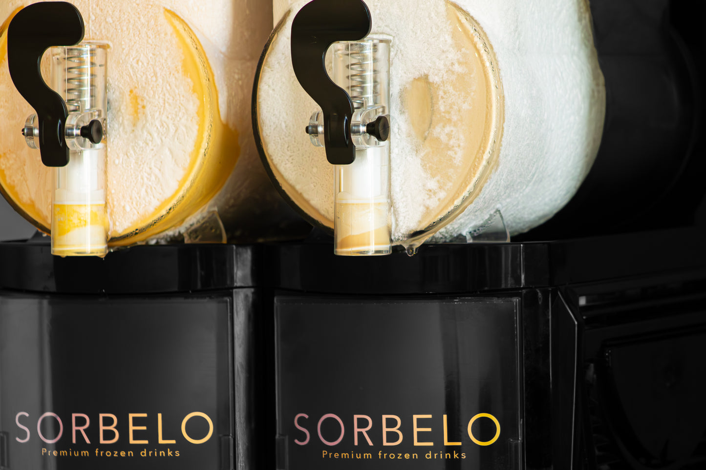 Purchase: Sorbelo machine - 2 x 10 liters